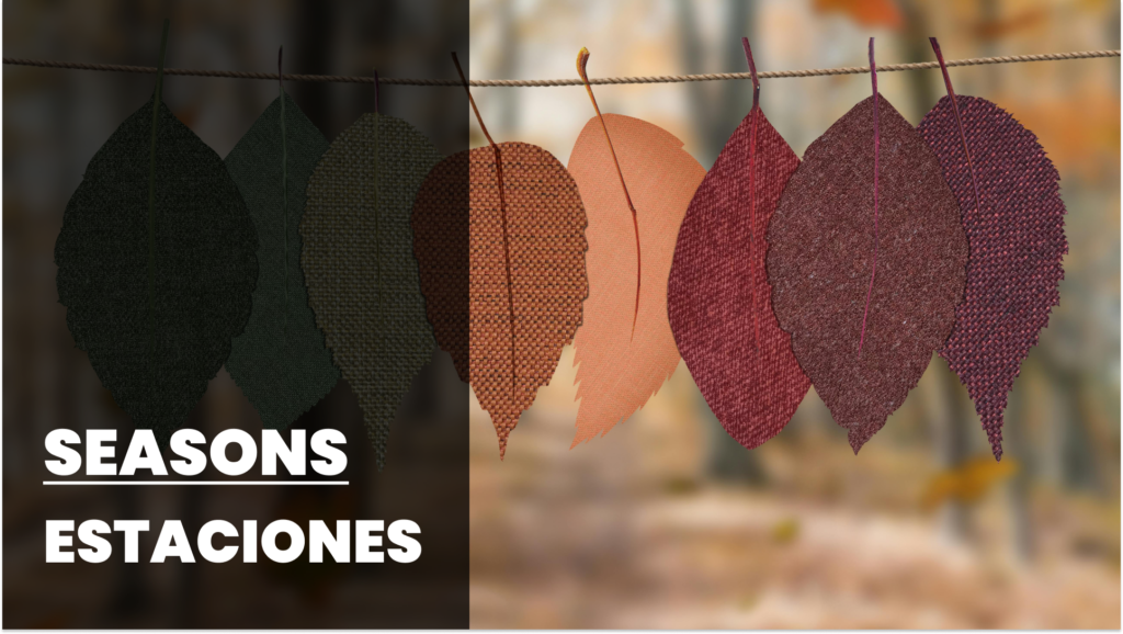 Basic Spanish Words: Seasons